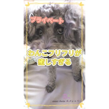 【プライベート】愛犬のしっぽフリフリがたまらん